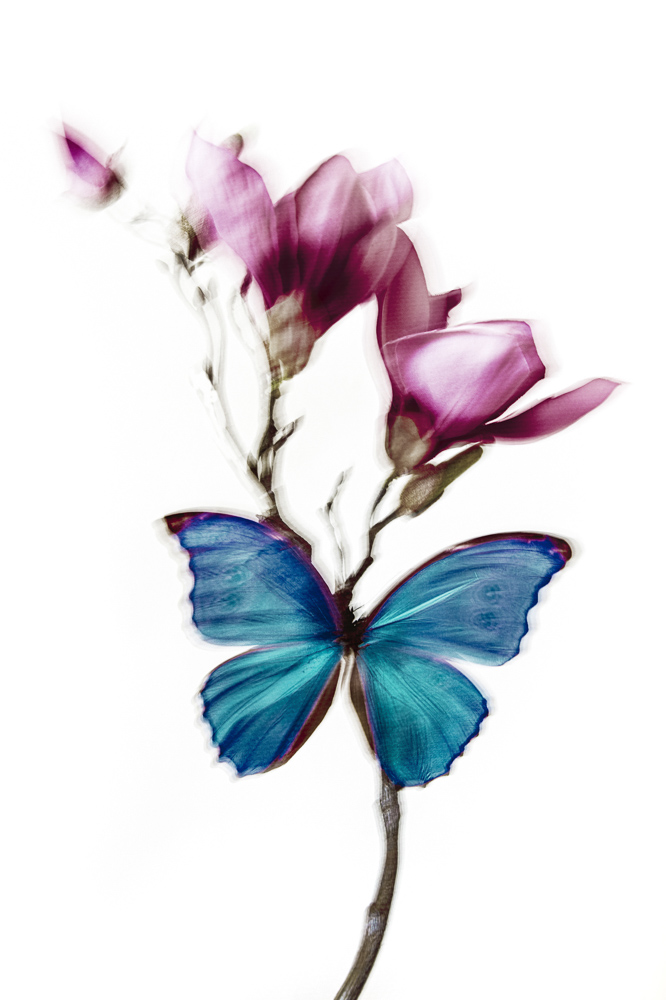 Platz 12 Florian Poschenrieder